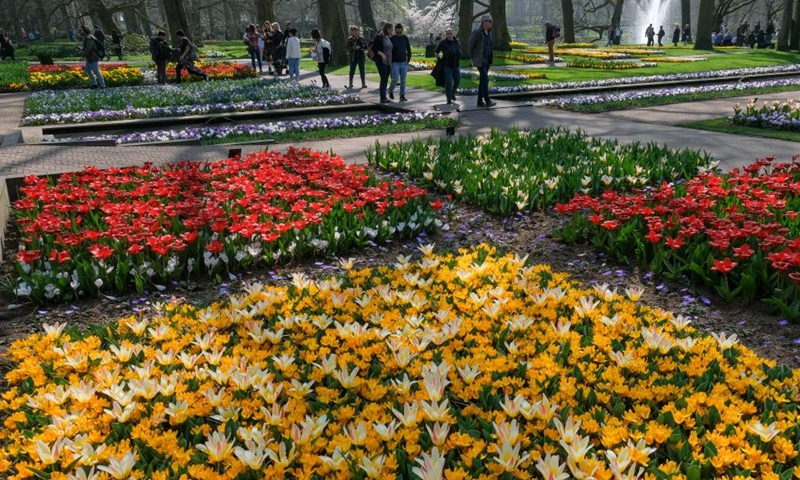 People tour at the Keukenhof park in Lisse, the Netherlands, March 26, 2022.Photo:Xinhua