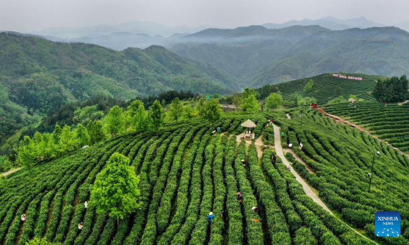 Aerial photo taken on April 5, 2022 shows a tea garden in Pingli County, northwest China's Shaanxi Province.