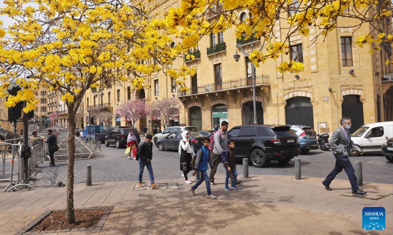 People walk past blooming Tabebuia Chrysantha trees in downtown Beirut, Lebanon, on March 31, 2022.Photo:Xinhua