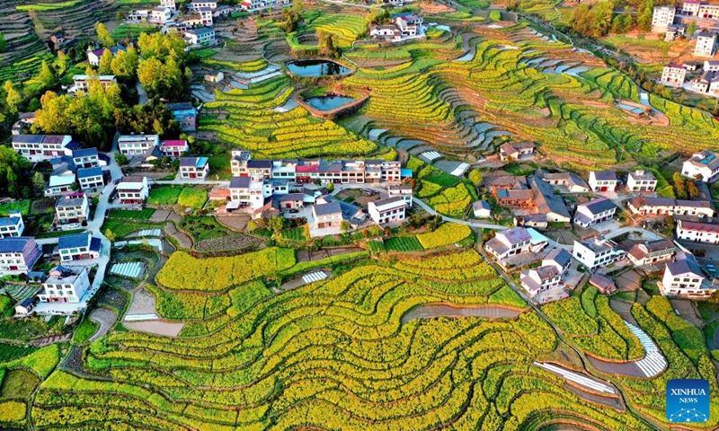 Aerial photo taken on April 3, 2022 shows the scenery of the terraced field in Ankang, northwest China's Shaanxi Province.Photo:Xinhua