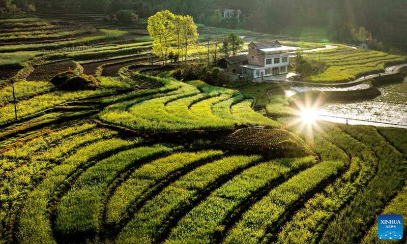 Aerial photo taken on April 3, 2022 shows the scenery of the terraced field in Ankang, northwest China's Shaanxi Province.Photo:Xinhua