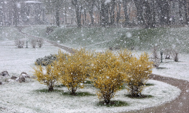 Photo taken on April 2, 2022 shows the snow scenery of a park in Karlovac, Croatia.Photo:Xinhua