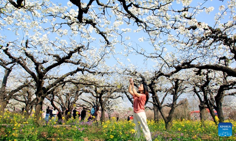 People enjoy spring across China - Global Times