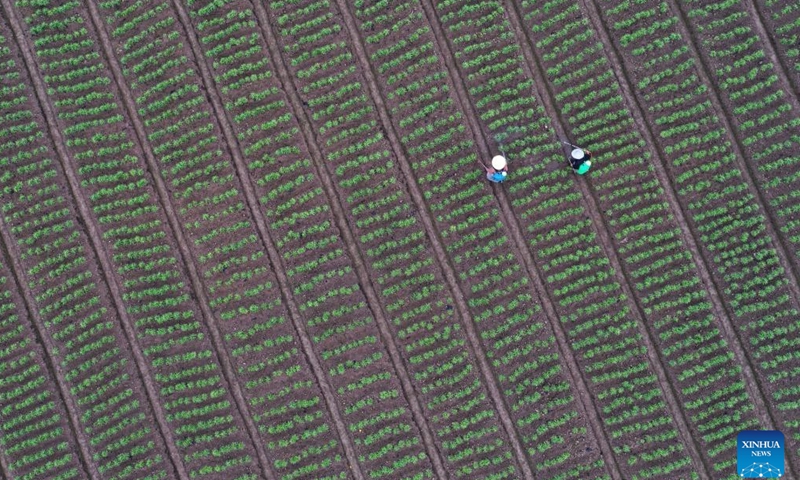 Aerial photo shows villagers working in the fields in Zheng'an County of Zunyi, southwest China's Guizhou Province, April 4, 2022. As the temperature gradually rises around the time of Qingming Festival, farming activities are in full swing across the country, from the north to the south. (Xinhua)