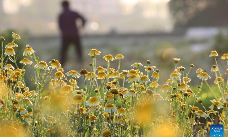 A villager works in the fields in Guitou Village of Yongzhou, central China's Hunan Province, April 4, 2022. As the temperature gradually rises around the time of Qingming Festival, farming activities are in full swing across the country, from the north to the south.(Xinhua)