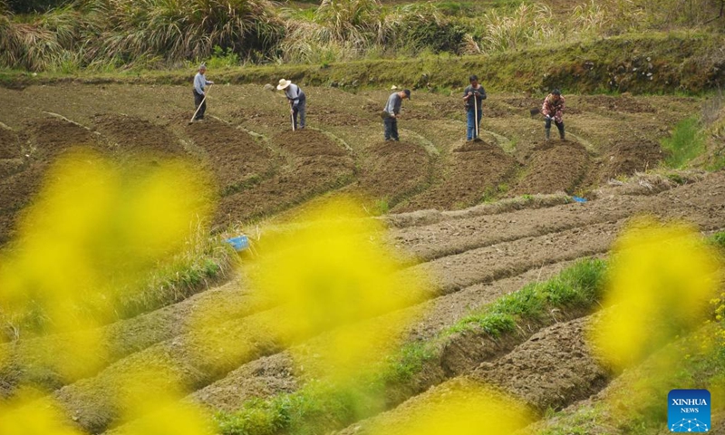 Villagers work in the fields in Xiying Village of Anqing, east China's Anhui Province, April 4, 2022. As the temperature gradually rises around the time of Qingming Festival, farming activities are in full swing across the country, from the north to the south. (Xinhua)