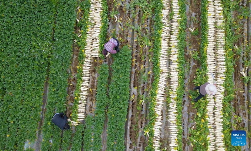 Aerial photo shows villagers working in the fields in Hexi Township of Nanchong, southwest China's Sichuan Province, April 4, 2022. As the temperature gradually rises around the time of Qingming Festival, farming activities are in full swing across the country, from the north to the south. (Xinhua)