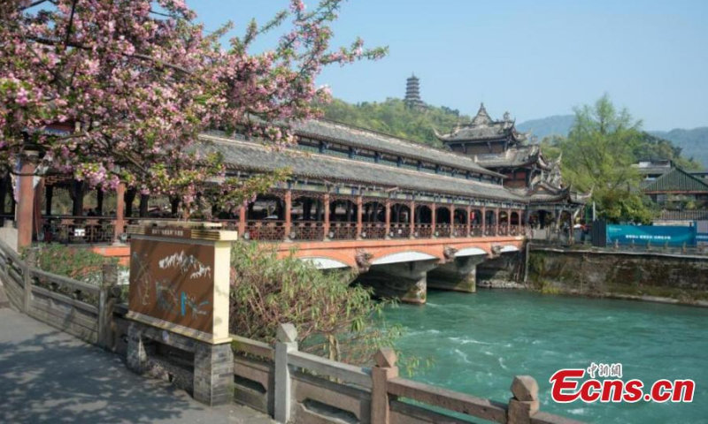 Photo shows the spring scenery in the ancient Dujiangyan Irrigation System. (Photo: China News Service/Zeng Min)