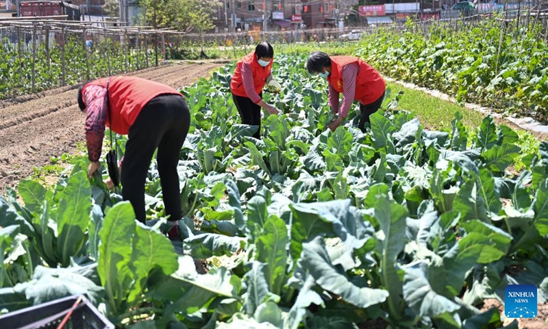 Local grannies volunteer to provide lunches to frontline workers in ...