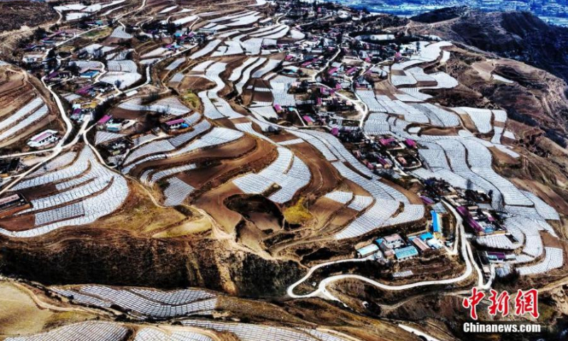 Aerial photo shows a spectacular view of potato field covered with plastic mulch in Haidong, Qinghai Province. Due to its unique advantages, including high altitude and dry climate, Haidong has became an important potato planting base. (Photo: China News Service/Li Xiaolin)