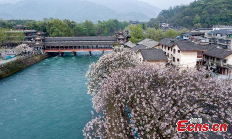 Several kinds of blossoms add color to Nanqiao Bridge or South Bridge over Minjiang river in Dujiangyan, southwest China's Sichuan Province. (Photo: China News Service/Zeng Min) Nanqiao Bridge (South Bridge) is located on Baopingkou or Bottle-Neck Channel of Minjiang river, and famous for its various folk paintings on the bridge.