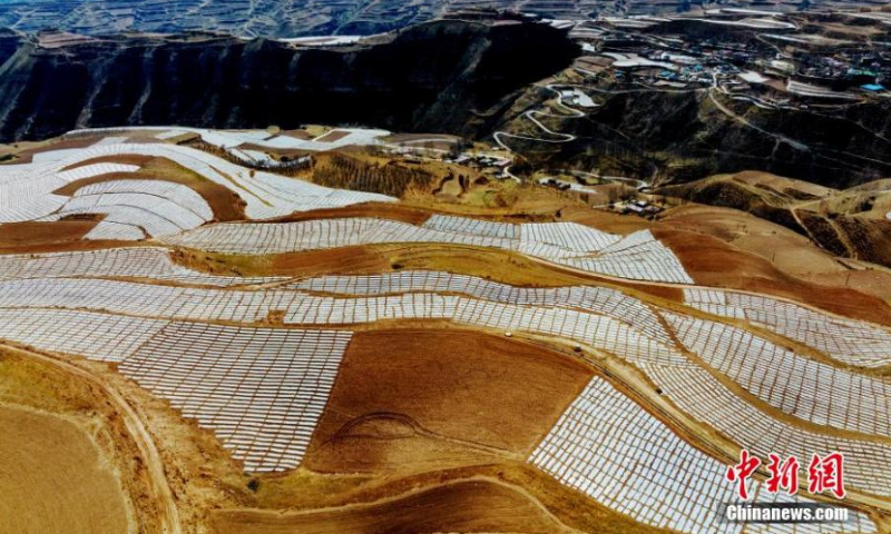 Aerial photo shows a spectacular view of potato field covered with plastic mulch in Haidong, Qinghai Province. Due to its unique advantages, including high altitude and dry climate, Haidong has became an important potato planting base. (Photo: China News Service/Li Xiaolin)