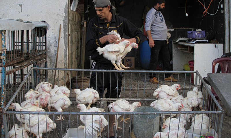 A vendor sells chicken at a market in Gaza City, April 6, 2022.(Phoo: Xinhua)