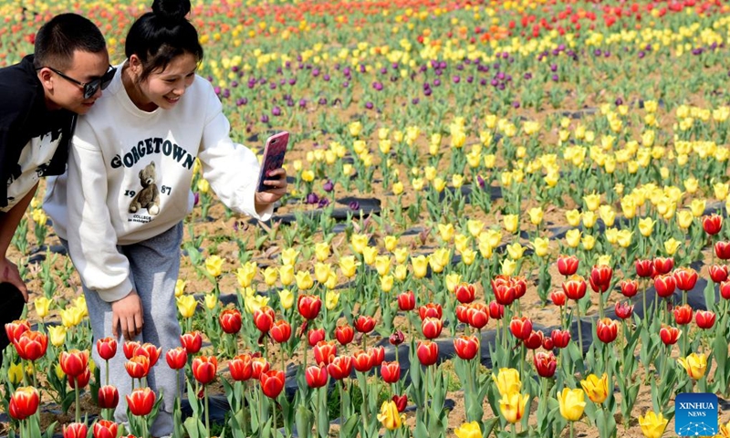 Tourists view tulips at a scenic spot in Suiping County, central China's Henan Procince, April 7, 2022. (Photo: Xinhua)