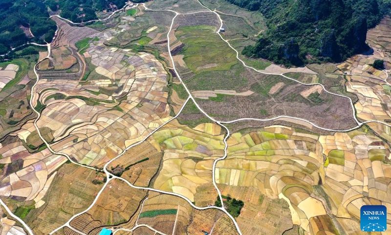 Aerial photo taken on April 8, 2022 shows the scenery of a planting base of selenium-rich rice in Longkou Village of Dahua Yao Autonomous County, south China's Guangxi Zhuang Autonomous Region.Photo:Xinhua