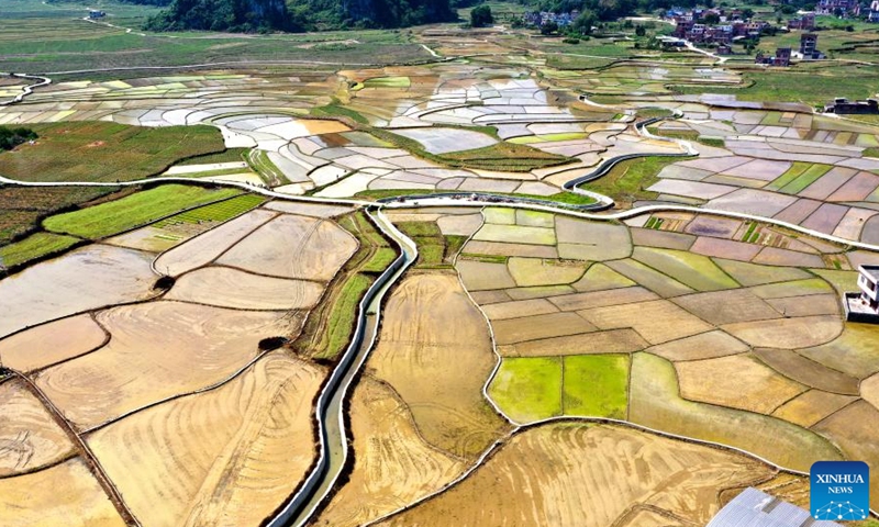 Aerial photo taken on April 8, 2022 shows the scenery of a planting base of selenium-rich rice in Longkou Village of Dahua Yao Autonomous County, south China's Guangxi Zhuang Autonomous Region.Photo:Xinhua