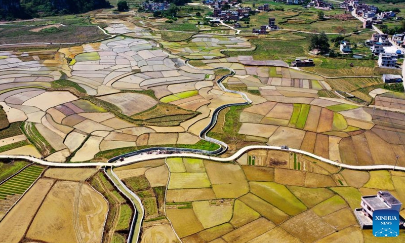 Aerial photo taken on April 8, 2022 shows the scenery of a planting base of selenium-rich rice in Longkou Village of Dahua Yao Autonomous County, south China's Guangxi Zhuang Autonomous Region.Photo:Xinhua