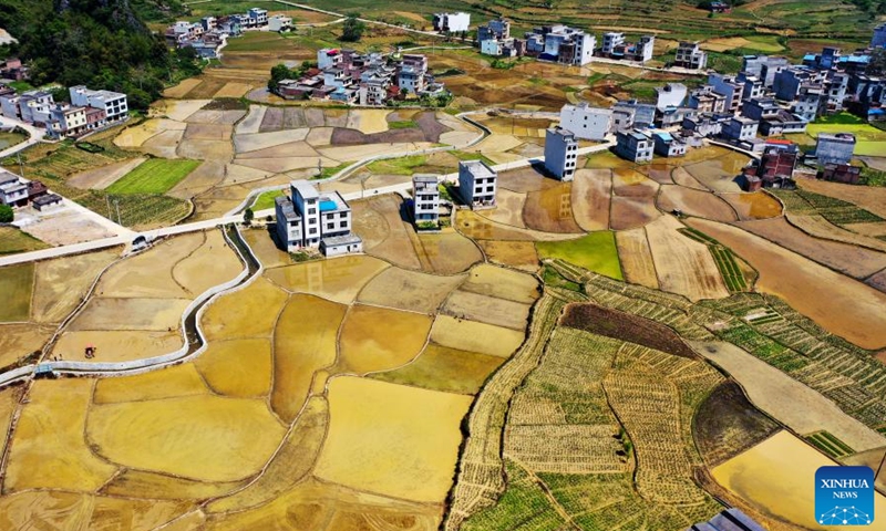 Aerial photo taken on April 8, 2022 shows the scenery of a planting base of selenium-rich rice in Longkou Village of Dahua Yao Autonomous County, south China's Guangxi Zhuang Autonomous Region.Photo:Xinhua