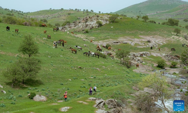 People hike in mountains in Tashkent region, Uzbekistan, April 10, 2022.(Photo: Xinhua)