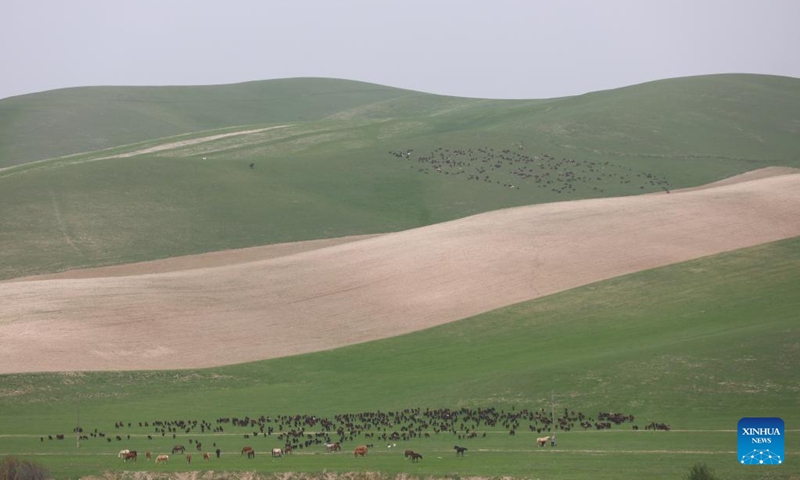 Photo taken on April 10, 2022 shows the spring view of mountains in Tashkent region, Uzbekistan. (Photo: Xinhua)