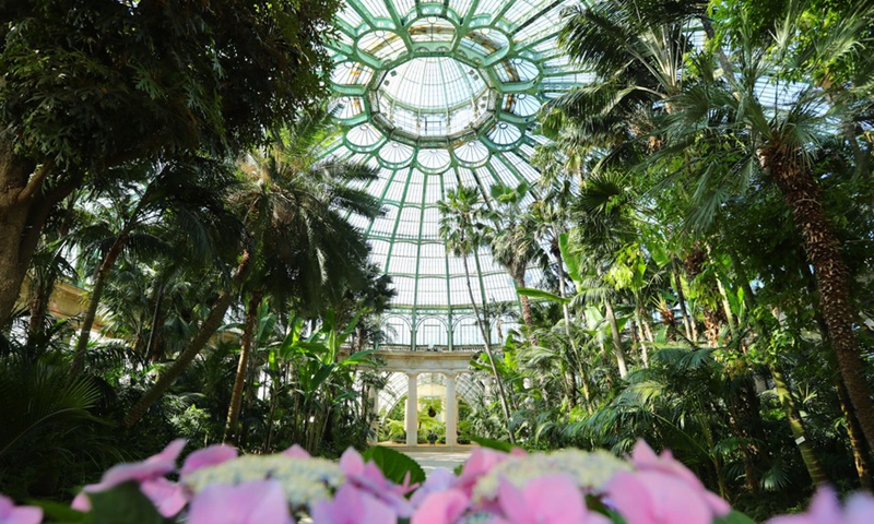 Belgium's Royal Greenhouses opened to public - Global Times