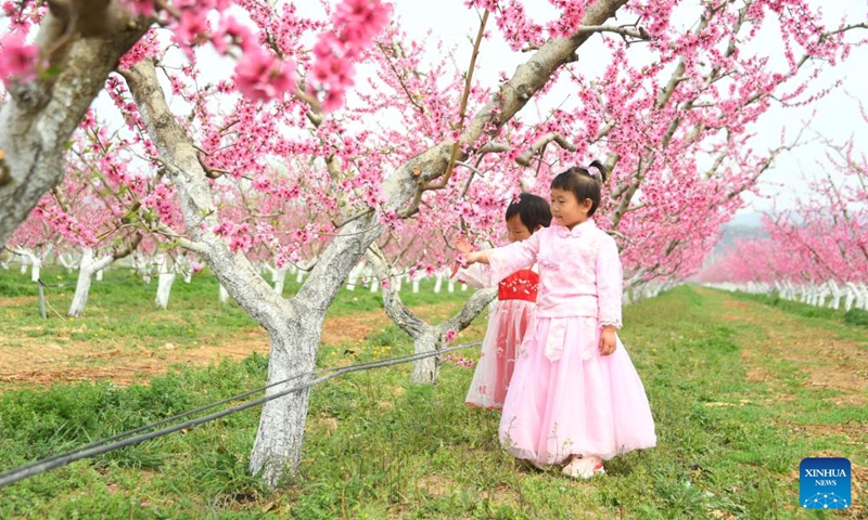 Children visit a peach orchard in Pinggu District of Beijing, capital of China, April 17, 2022.Photo:Xinhua