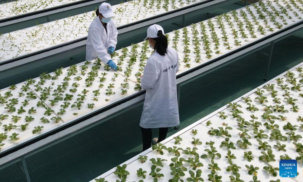 Aerial photo taken on April 20, 2022 shows staff members working at a smart greenhouse of Anhui modern aeroponics agricultural science and technology demonstration park in Feidong County, Hefei, east China's Anhui Province. Photo:Xinhua