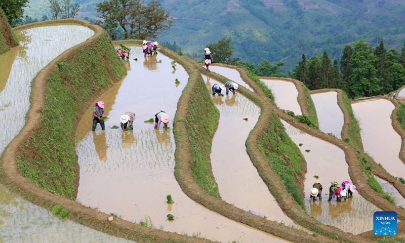 Villagers work in a field in Panzhihua Township of Yuanyang County, southwest China's Yunnan Province, April 24, 2022. (Photo by Zhang Hongke/Xinhua)