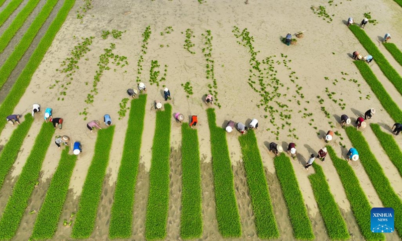 Aerial photo taken on April 24, 2022 shows villagers working in a field in Yiyang subdistrict of Changning City, central China's Hunan Province. (Photo by Zhou Xiuyuchun/Xinhua)