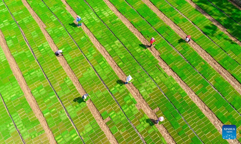 Aerial photo taken on April 24, 2022 shows villagers working in a field in Shiguan Town of Lai'an County, east China's Anhui Province. (Photo by Lyu Hua/Xinhua)