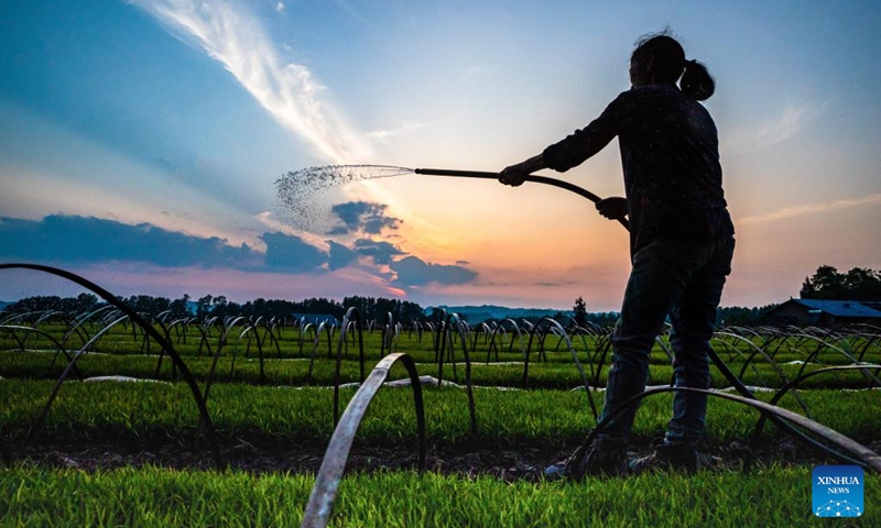 Villagers work in a field in Shixi Town of Nanchuan District in southwest China's Chongqing, April 23, 2022. (Photo by Qu Mingbin/Xinhua)