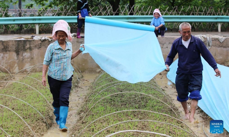 Villagers work at a rice seedling breeding base in Yangfang Village in Taijiang County, Qiandongnan Miao and Dong Autonomous Prefecture, southwest China's Guizhou Province, April 26, 2022. Taijiang County has stepped up efforts on the provision of high-quality rice seedlings for farmers to ensure sound spring plowing activities.(Photo: Xinhua)