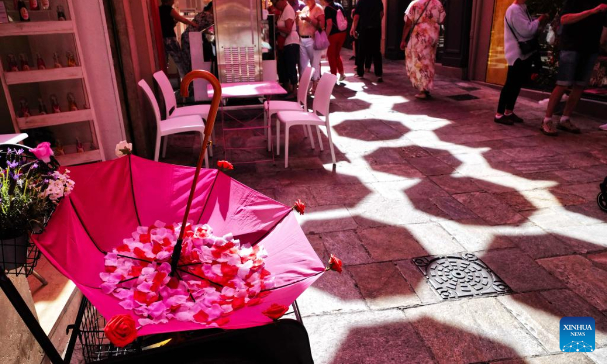 Roses and a pink umbrella are seen during the 50th ExpoRose in Grasse, southern France, on May 13, 2022. The city center of Grasse was turned into rose gardens during the three-day ExpoRose festival which kicked off here on Friday. Photo:Xinhua