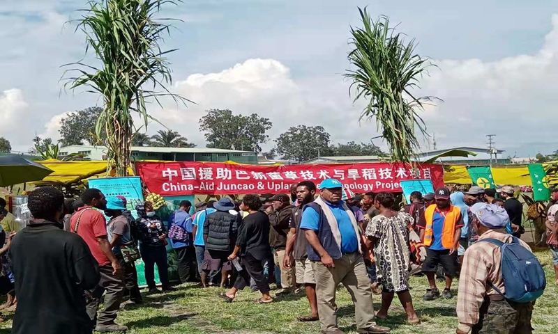 The China-aid Juncao and upland rice technology project in Papua New Guinea Photo: Ministry of Commerce of China