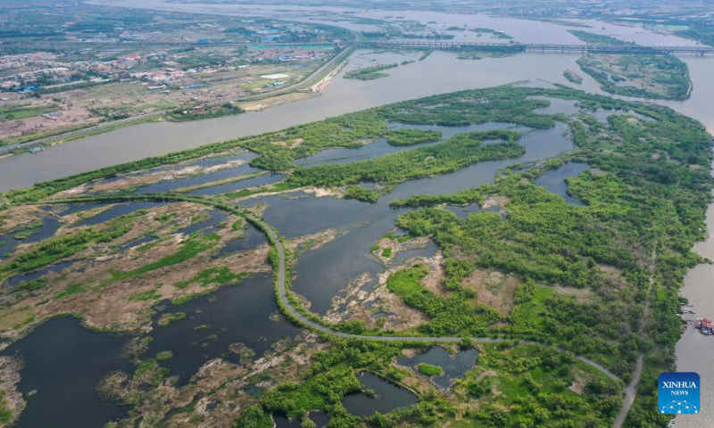 Aerial photo taken on June 4, 2022 shows the scenery of a wetland around a bridge in Harbin, northeast China's Heilongjiang Province. (Xinhua/Zhang Tao)