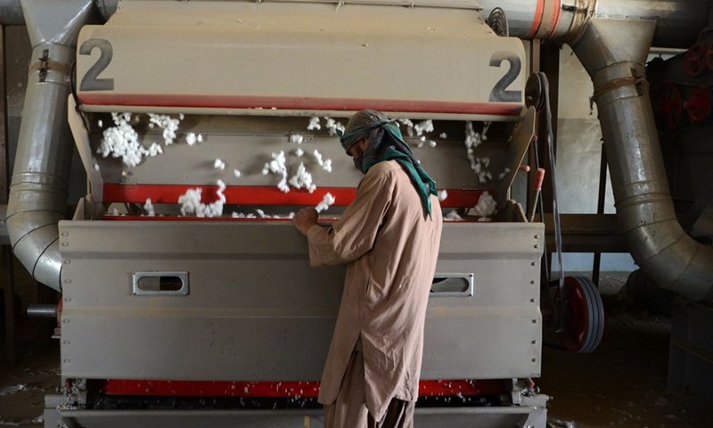 A man works at a cotton processing plant in Kandahar province, Afghanistan, May 28, 2022.Photo:Xinhua