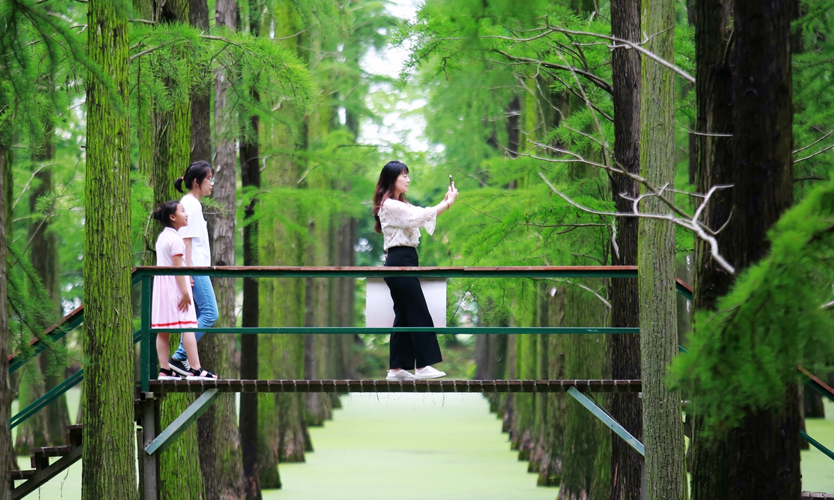 ourists play in a forest at Luyang Lake Wetland Park in Yangzhou, East China's Jiangsu Province, on June 5, 2022. Photo: IC