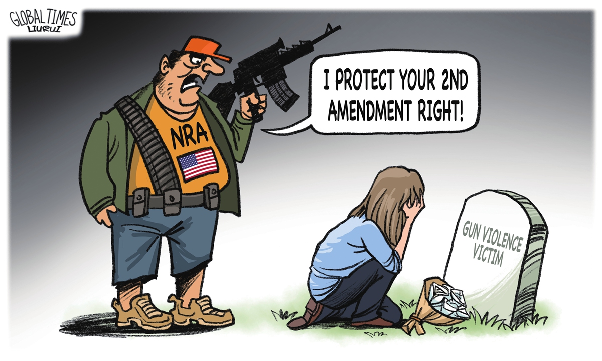 2nd amendment rights cartoons