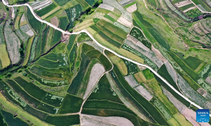 Aerial photo taken on June 6, 2022 shows Majiayuan terrace in Zhangjiachuan Hui Autonomous County in Tianshui, northwest China's Gansu Province.(Photo: Xinhua)