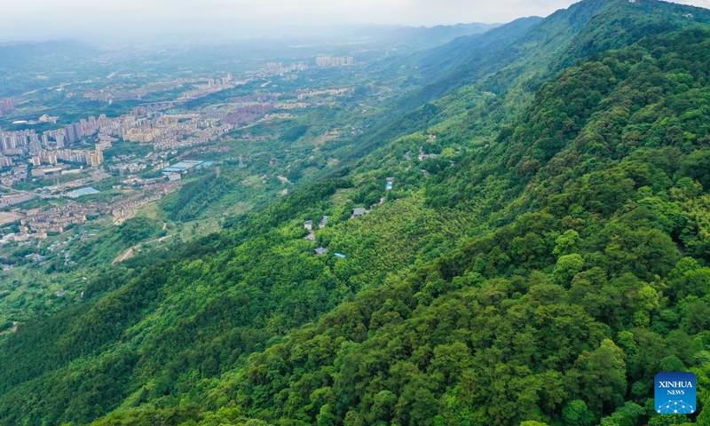 Aerial photo taken on June 4, 2022 shows a view of the Jinyun Mountain in Chongqing, southwest China.(Photo: Xinhua)