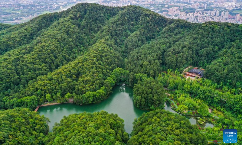 Aerial photo taken on June 4, 2022 shows a view of the Jinyun Mountain in Chongqing, southwest China.(Photo: Xinhua)