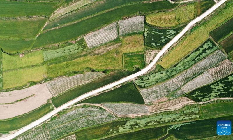 Aerial photo taken on June 6, 2022 shows Majiayuan terrace in Zhangjiachuan Hui Autonomous County in Tianshui, northwest China's Gansu Province.(Photo: Xinhua)