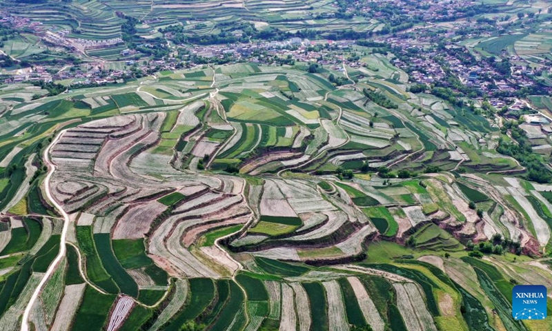 Aerial photo taken on June 6, 2022 shows Majiayuan terrace in Zhangjiachuan Hui Autonomous County in Tianshui, northwest China's Gansu Province.(Photo: Xinhua)