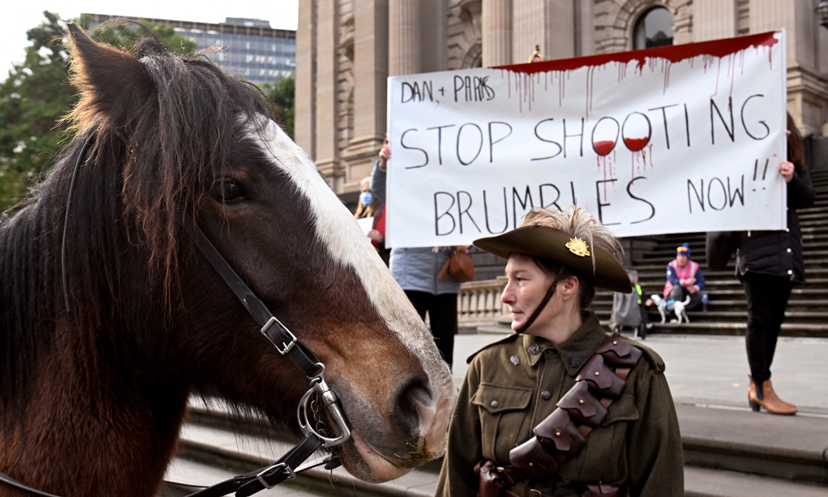 A horse is pictured at a protest over the culling in national parks of the iconic Australian brumby horse, in Melbourne on June 8, 2022. Brumbies are Australian working stock horses who are seen as an important part of Australia's development and history but are now considered by environmentalists and state governments as a feral pest in the national parks where they roam wild. Photo: AFP