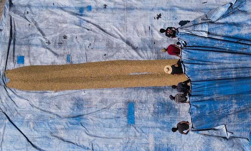 Aerial photo taken on June 6, 2022 shows workers collect fully washed and dried coffee beans on a drying field inside a coffee bean processing factory in Ermera County, Timor-Leste.(Photo: Xinhua)