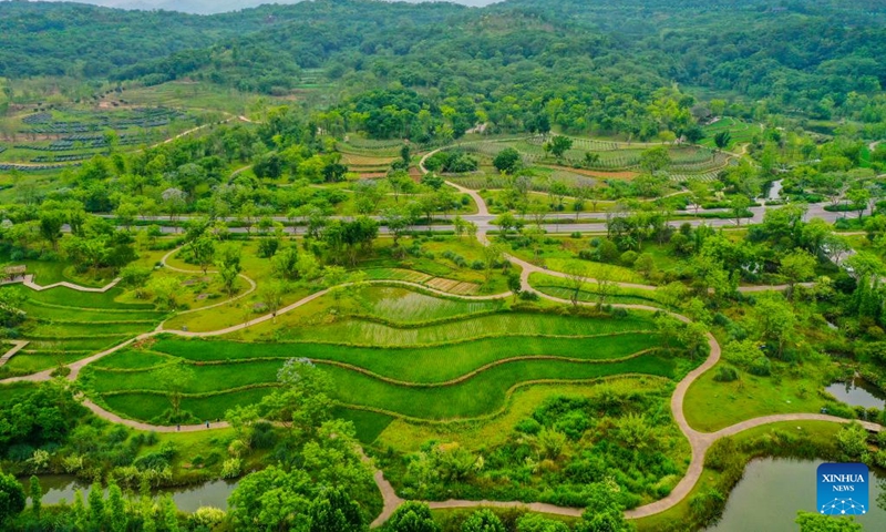 Aerial photo taken on June 5, 2022 shows a view of Guangyang Isle in southwest China's Chongqing. Guangyang Isle, the largest island on the upper Yangtze River, is rich in natural resources. In recent years, a series of measures have been taken to restore the island's ecological environment, attracting tourists to its colorful fields. (Photo: Xinhua)