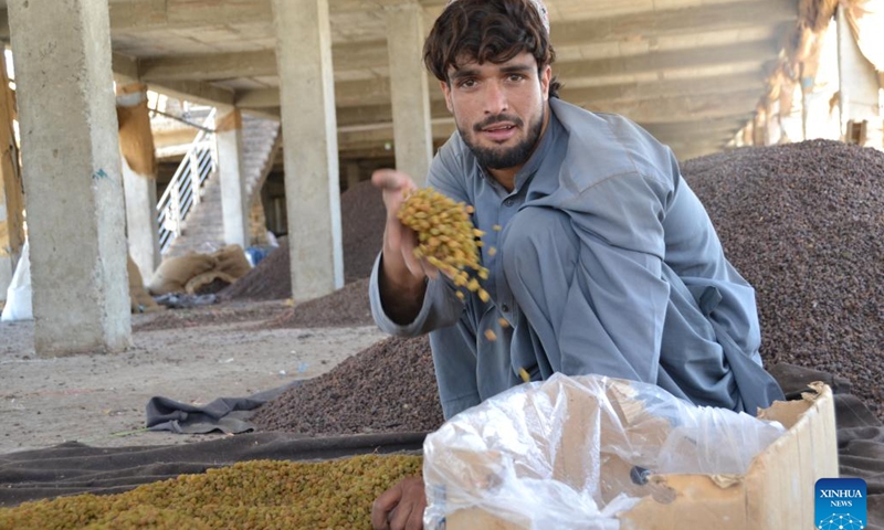 A man shows raisins at a market in Kandahar, Afghanistan, June 9, 2022. (Photo: Xinhua)