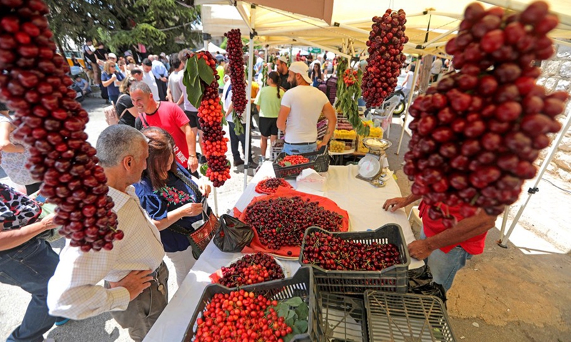 People visit the Hammana Cherry Festival in the village of Hammana, Mount Lebanon Governorate, Lebanon, on June 12, 2022.(Photo: Xinhua)