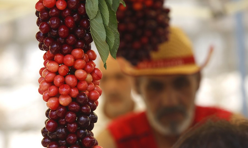 Cherries are displayed at the Hammana Cherry Festival in the village of Hammana, Mount Lebanon Governorate, Lebanon, on June 12, 2022.(Photo: Xinhua)