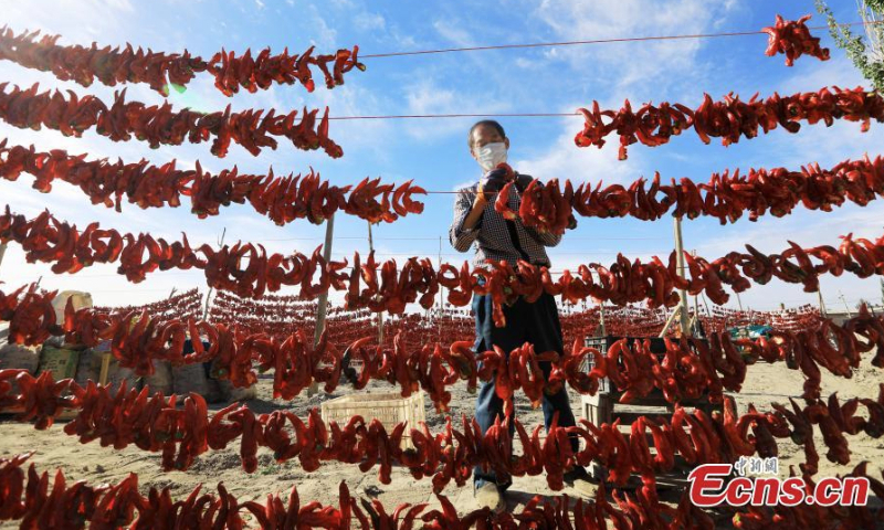 Farmers air chili peppers in the sun in Bohu County, northwest China's Xinjiang Uyghur Autonomous Region, June 14, 2022. (Photo: China News Service/Nian Lei)